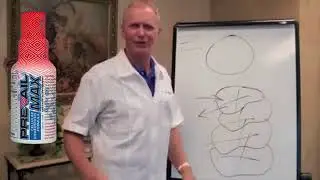 PrevailMAX&trade; Explained by Dr. Shawn Mueller