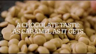 Callebaut Gold - Flawless fluidity
