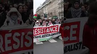 В Париже прошли пропалестинские протесты против нарушений Израилем режима прекращения огня в сект...