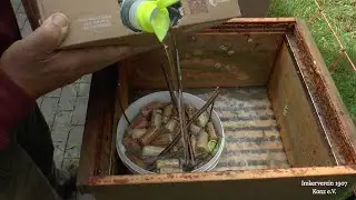 Einf&uuml;ttern des Wintervorrats beim Bienenvolk mit Futtersirup