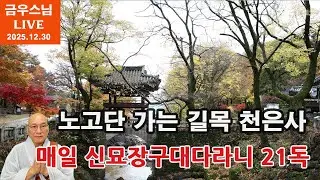 [금우스님 라이브 #1772 ]  구례에서 노고단으로 가는 길에 있는 천년고찰 천은사(泉隱寺) ㅣ 매일 저녁  금우스님과 신묘장구대다라니 21독 l  2025.12.30