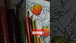 Coloring Apples!    #adultcoloring #adultcoloringbooks #teresagoodridge #creativehaven