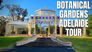Botanical Gardens Adelaide Tour with Us | M and MM Plants