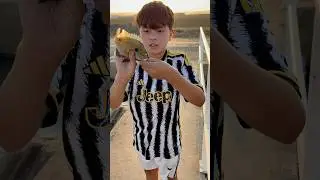 Bluegill Catch And Release | Dirt Canal Fishing