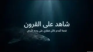 قرش جرينلاند ذو 512 عاما.