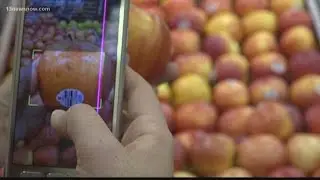 Scan & Scoot with new grocery check-out app