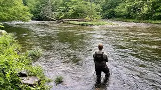 TROUT FISHING CHEROKEE NC (May-2024)