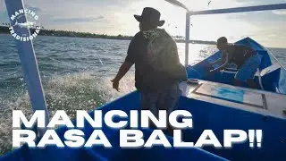 Mancing Rasa Balap! Adu Kecepatan dengan Ikan Liar