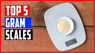 Best Gram Scales 2023 | Top 5 Digital Gram Scales