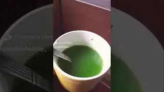 barley powdered drink🍵(link below)