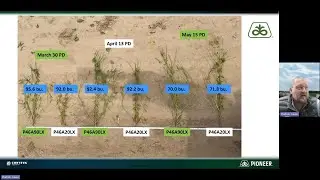 Setting Soybeans Up for Success in Eastern Arkansas