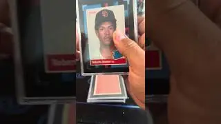 SGC Slabs Reveal