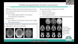 9 2 1 2 ENIGMAU Morphometry2 CC