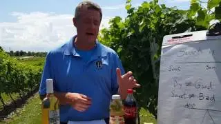Wine Wisdom: Sweet vs Dry