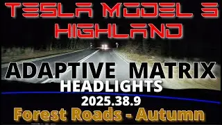 Tesla Model 3 Highland - Adaptive Headlights - Forest road #7 - 2025.38.9 - Autumn