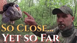 Turkey Hunting = FRUSTRATED 