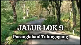 PESONA TIKUNGAN LOK 9 ( KELOK9 ). Pucanglaban-Tulungagung
