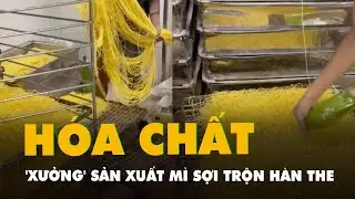 Bên trong 'xưởng' sản xuất mì sợi trộn hàn the ở phường Phú Thạnh, TP.HCM