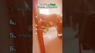 Ranking Best Horse Moments