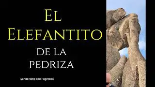 El Elefantito, cueva del Cham&aacute;n y cueva del Ave Mar&iacute;a, el Caracol, cueva y alcornoque del Bandolero