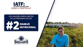 Manejo nutricional - Erros na IATF #2