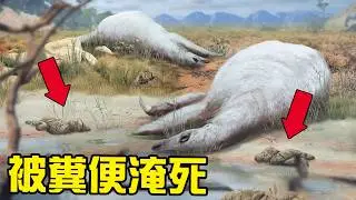 懶到被自己的糞便淹死？閃電的史前親戚們到底有多奇葩？丨古獸13丨獸族時代