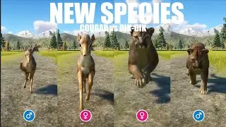 NEW Species Cougar vs Kirk's Dik-Dik Gender speed race in Planet Zoo