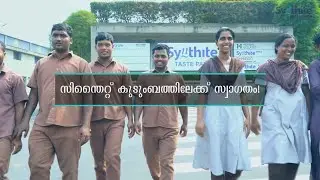 Hygiene Video of Synthite Pancode