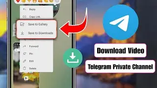 Как скачать видео из закрытого канала в Telegram