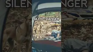 Silent Danger 😱 | He Never Saw It Coming | Cinematic Short