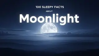 The Most Relaxing Facts About Moonlight and the Changing Night