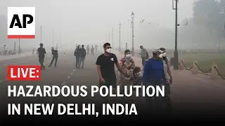LIVE: Pollution in India's capital city hits 50 times the safe limit