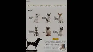 Luxury Small Dog Bed With Hidden Storage