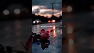 rainy season 🌦|| asthetic status 😊|| #trending ##ytshorts #love #viralvideo #likeandsubscribe