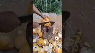 Amazing Coconut Cutting Skills | King Coconut Cutting | Sri Lanka street food | Orange Coconut