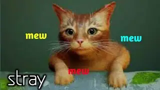 a cat found new robo (Stray gameplay)#funny #hindi #stray #episode2