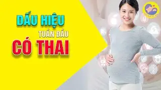 ☘️ Dấu Hiệu C&oacute; Thai Sớm Nhất Trong Tuần Đầu Ti&ecirc;n Mẹ N&agrave;o Cũng Nhận Biết | Kiến Thức Mẹ Bầu
