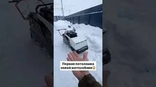 ПЕРВАЯ ПОЛОМКА МОТОСОБАКИ🔧 #shorts