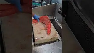 Queen Red Snapper Fish Cutting Techniques Skills Export Man#shorts