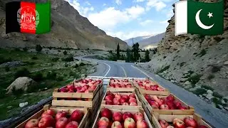 From Afghan Orchards to Pakistani Juice Factories: The Journey of Fresh Apples&rdquo; - 