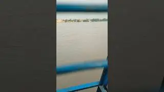 gokul barrage 🤯😱Pani ko dekho kitna badh Gaya hai #trending #rain #mathura #gokulbarrage #gokul