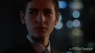 Bruce & Selina (AMV) Love and Honor