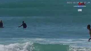 SurfCHECK White Plains Beach - LIVE