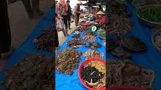 Traditional Market Vibes: Unique Local Street Scene@abuexotic-ai