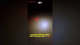 Learning to Reel in a Giant Fish in Kansas Lake.👀🎉🔥🧨#drum #fishing #night #fish #lake #pond wow