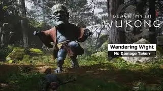 Wandering Wight Boss Fight (no damage)