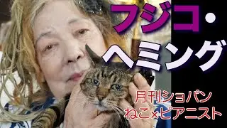 フジコ・ヘミングと猫