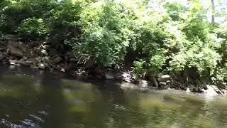 Fishing with zach