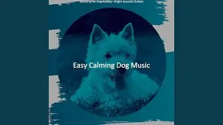 Retro Music for Relaxing Dogs