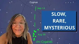 Неожиданный метеоритный дождь в сентябре — Хи-Цигниды!